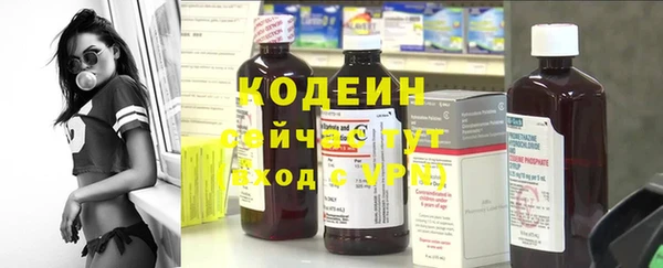 трава Белокуриха