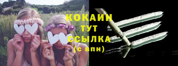 трава Белокуриха