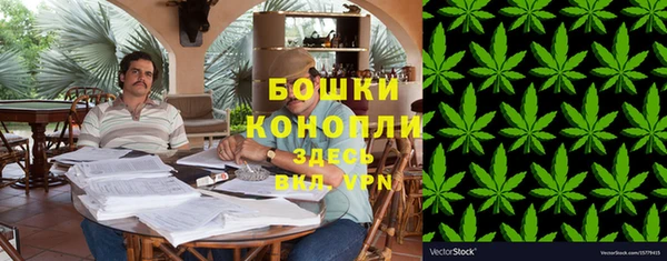 трава Белокуриха