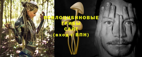 спиды Беломорск