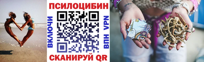 Псилоцибиновые грибы Psilocybe  Купить  Гуково 